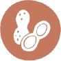 Arachide